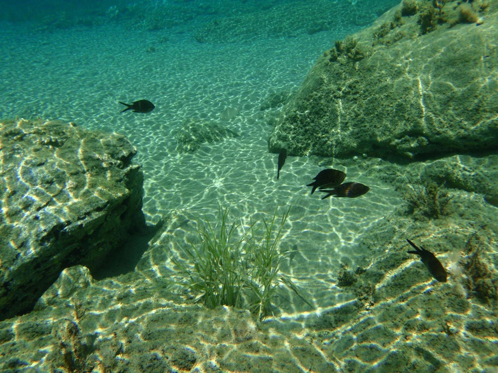 Filoxenia By Grispos Villas Schoinoussa Buitenkant foto