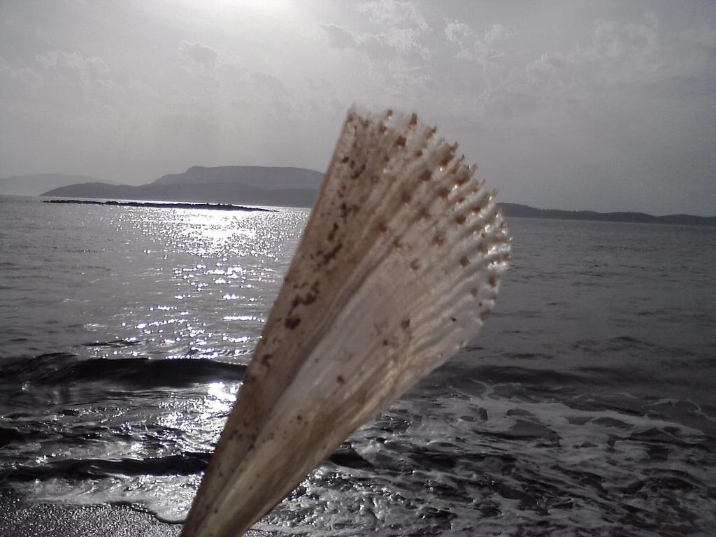 Filoxenia By Grispos Villas Schoinoussa Buitenkant foto
